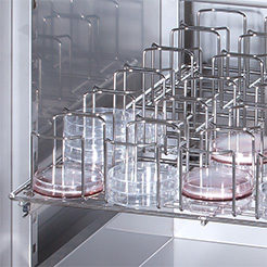 Hettich rack for petri dishes and Lowenstein shelf