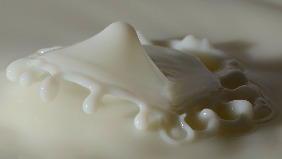 milk product; coliform bacteria in milk and dairy products